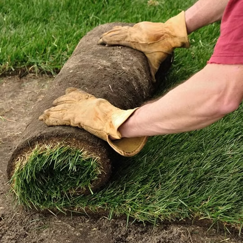 sod being rolled out